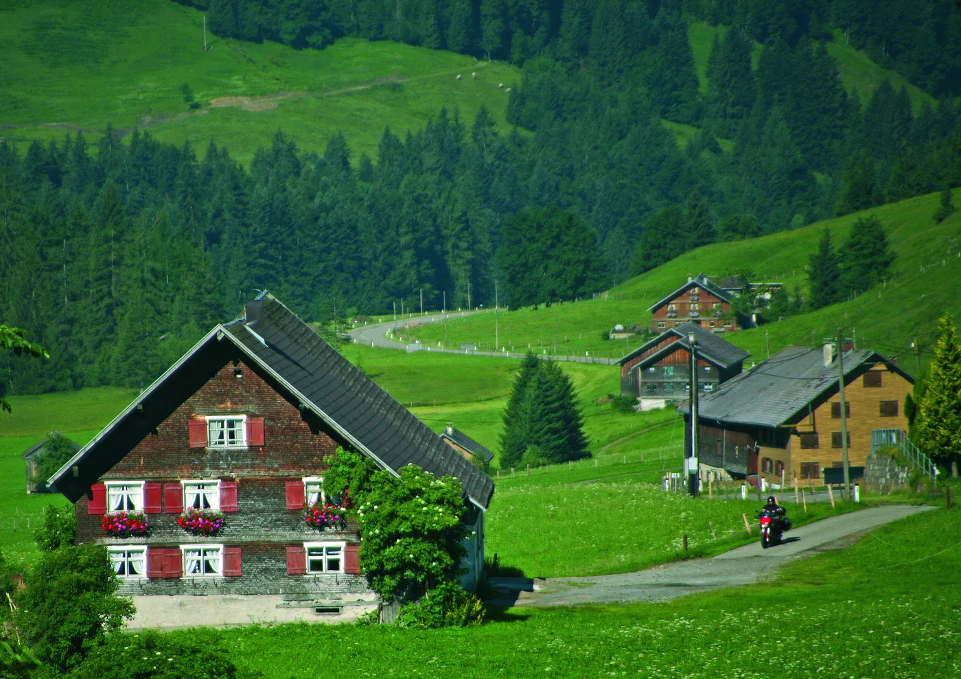 Typische Bregenzerwälder Häuser mit Schindelfassade zwischen Bergwiesen Typische Bregenzerwälder Häuser mit Schindelfassade zwischen Bergwiesen